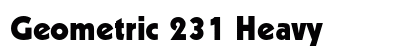 Geometric 231 Heavy preview
