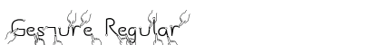 Gesture Regular Preview