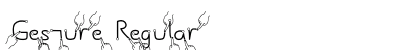 Gesture Regular Preview
