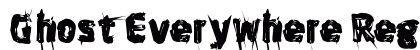 Ghost Everywhere Regular preview