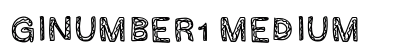 GINUMBER1 Medium preview