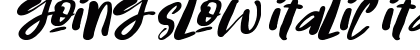 Going Slow Italic Italic preview