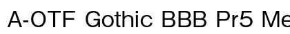 A-OTF Gothic BBB Pr5 Medium preview
