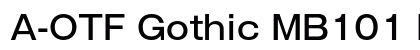 A-OTF Gothic MB101 Pr6 M preview