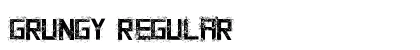 Grungy Regular preview