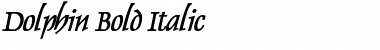 Dolphin Bold Italic Font