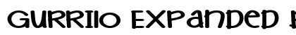 Gurrilo Expanded Bold preview
