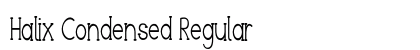 Halix Condensed Regular Preview