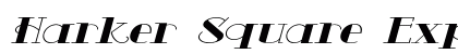Harker Square Expanded Italic Preview