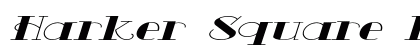 Harker Square Extra-expanded Italic preview