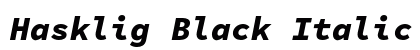 Hasklig Black Italic preview
