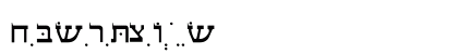Hebrew_Text Regular preview