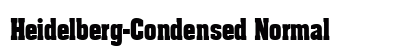 Heidelberg-Condensed Normal preview