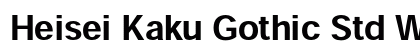 Heisei Kaku Gothic Std W7 Preview