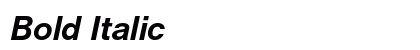 Bold Italic Preview