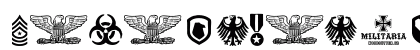 Militaria Regular preview