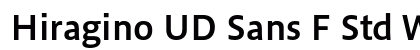 Hiragino UD Sans F Std W6 preview