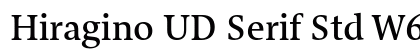 Hiragino UD Serif Std W6 preview