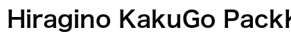 Hiragino KakuGo PackKana Std W6 preview