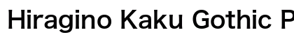 Hiragino Kaku Gothic ProN W6 preview