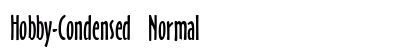 Hobby-Condensed Normal preview