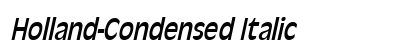 Holland-Condensed Italic Preview