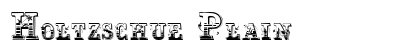 Holtzschue Plain Preview