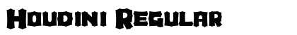 Houdini Regular preview