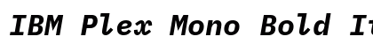 IBM Plex Mono Bold Italic Preview