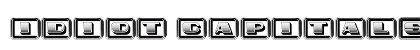 Idiot Capitals Gradient Regular preview