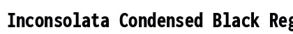 Inconsolata Condensed Black Regular preview