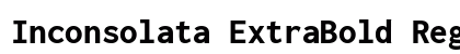 Inconsolata ExtraBold Regular preview