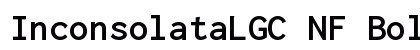 InconsolataLGC NF Bold preview