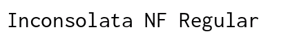 Inconsolata NF Regular preview