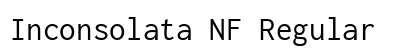 Inconsolata NF Regular preview