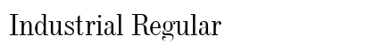 Industrial Regular preview