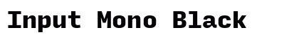 Input Mono Black Preview