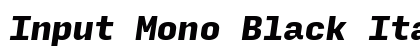 Input Mono Black Italic Preview
