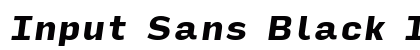 Input Sans Black Italic Font