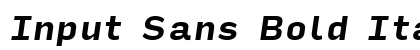 Input Sans Bold Italic Font