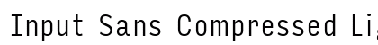 Input Sans Compressed Light Preview