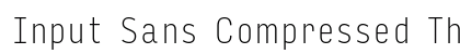 Input Sans Compressed Thin Preview