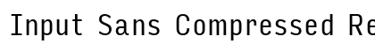 Input Sans Compressed Regular Preview
