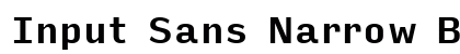 Input Sans Narrow Bold preview