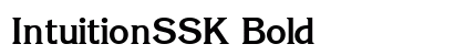 IntuitionSSK Bold preview