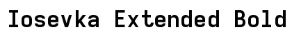 Iosevka Extended Bold preview