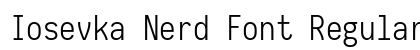 Iosevka Nerd Font Regular Preview