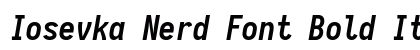 Iosevka Nerd Font Bold Italic Preview