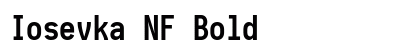 Iosevka NF Bold preview