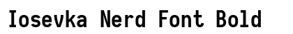Iosevka Nerd Font Bold preview